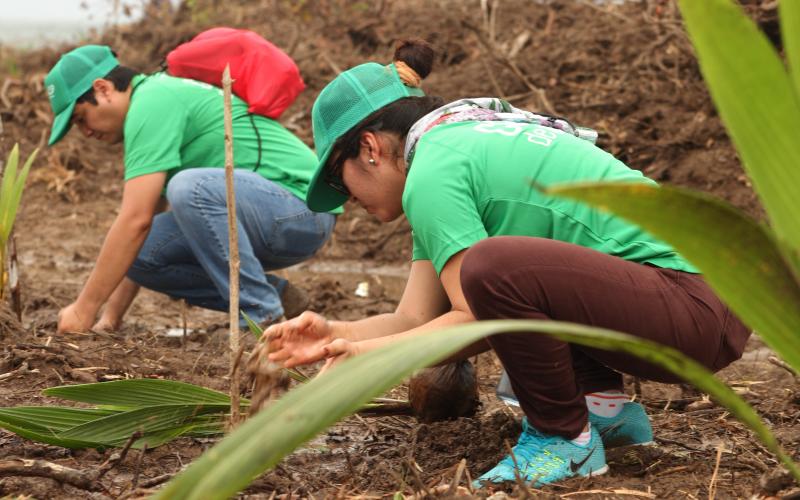 ENSA siembra y reforesta en Río Indio, Colón ENSA
